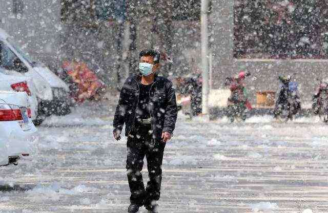 杨絮 杨絮的危害居然这么大