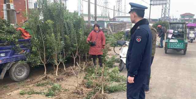 杨梅树苗 杨梅树苗哪里可以买？这个地方有临时的交易市场，持续时间不长了