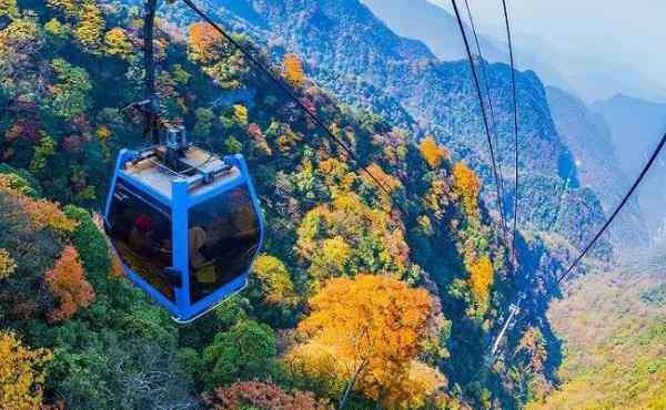 金佛山旅游 金佛山一日游详细攻略