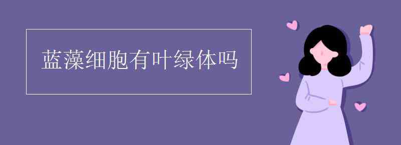 蓝藻有叶绿体吗 蓝藻细胞有叶绿体