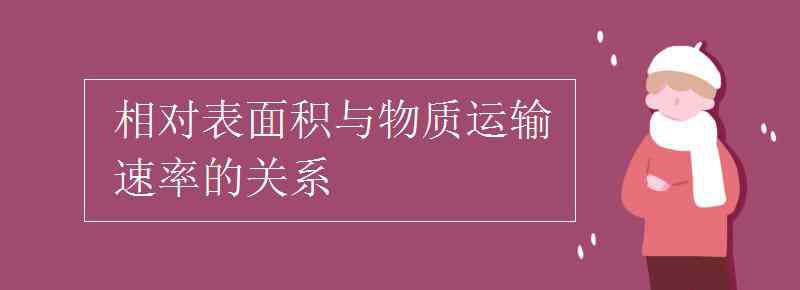 相对表面积 相对表面积与物质运输速率的关系