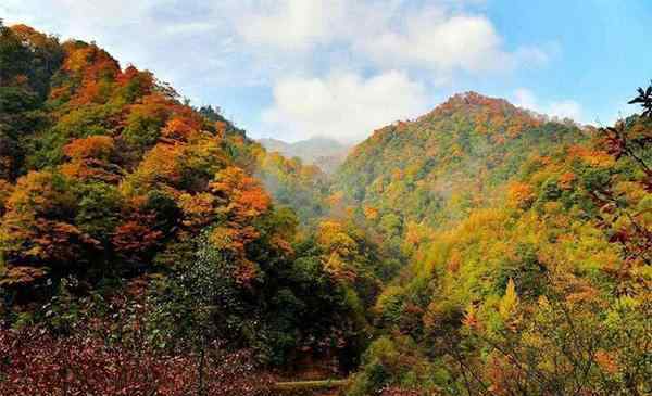 光雾山红叶节 四川光雾山红叶节 2019时间+观赏路线推荐