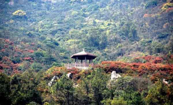 大姆山草场 福清大姆山草场攻略 好玩吗-开放时间