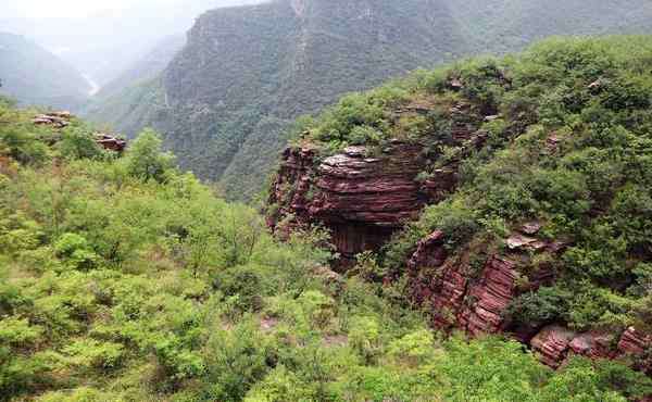 免门票的景区 景区免门票的原因和好处是什么