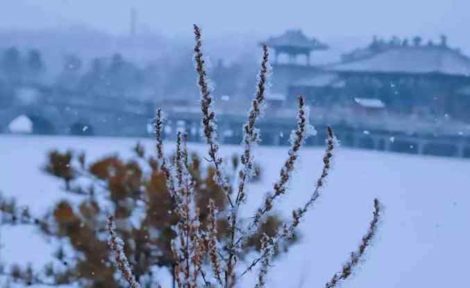 太原下雪 山西多地迎来今冬第一场雪！多条高速全线封闭，接下来还有…