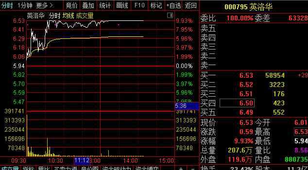 795 今日涨停个股英洛华(000795）揭秘