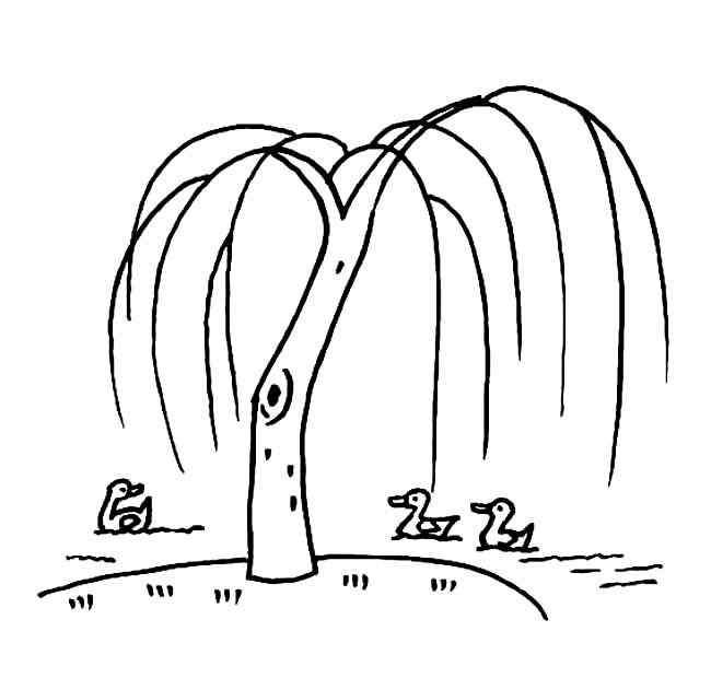 柳树的简笔画 河边柳树简笔画图片