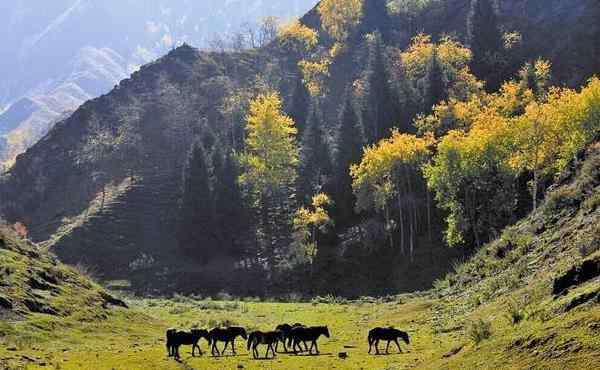 东天山 东天山在什么地方 东天山有什么好玩的