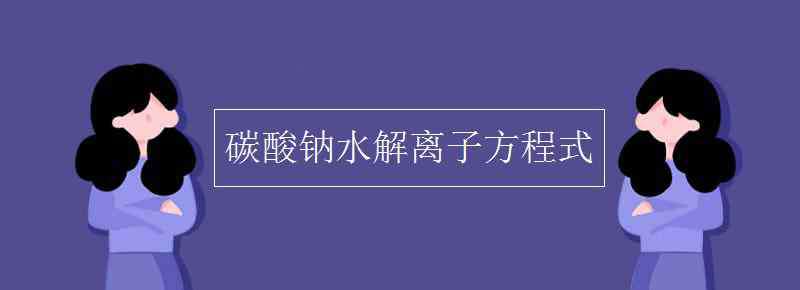 碳酸钠水解 碳酸钠水解离子方程式