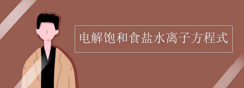 电解饱和食盐水化学方程式 电解饱和食盐水离子方程式