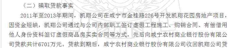 办理贷款 房地产老总骗取贷款6700多万，银行“损失”5300多万，法院这样判