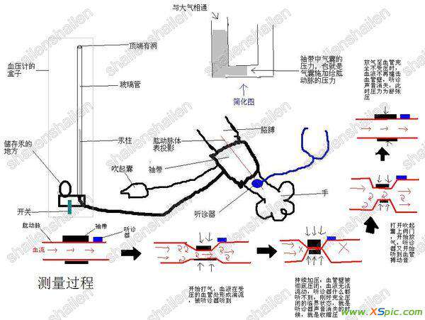 血压计原理 请问水银血压计结构和工作原理?