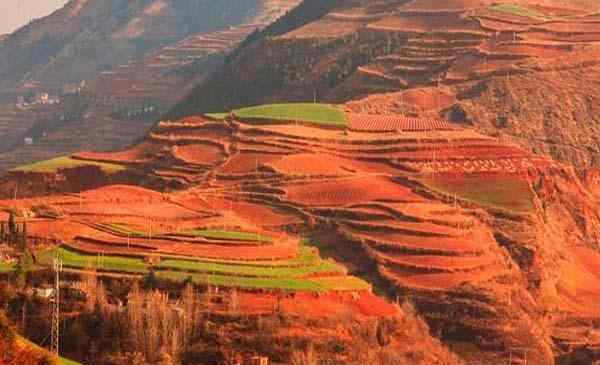 东川红土地旅游 2020东川红土地旅游攻略 东川红土地门票价格