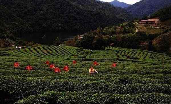 九鹏溪 2020九鹏溪风景区旅游攻略 九鹏溪风景区门票交通天气景点介绍