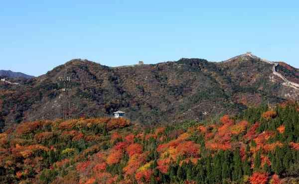 红叶岭 2020北京红叶岭门票最佳观赏时间及游玩攻略