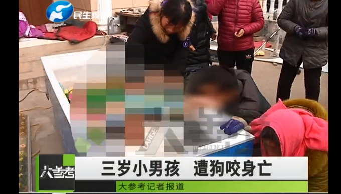 痛心！河南3岁男童被邻居看门狗咬死 孩子父亲回应：狗很凶 常年不拴