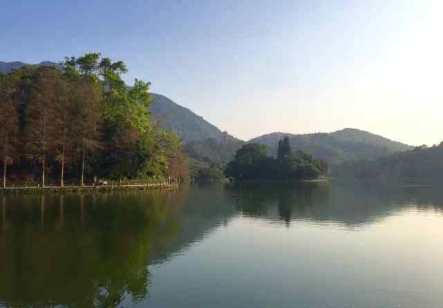 仙湖植物园门票 深圳仙湖植物园在哪里哪个区要门票吗晚上可以进去吗好玩吗