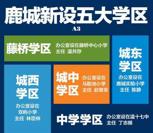 鹿城教育 温州鹿城新设五大学区 各集团学校“瘦身”