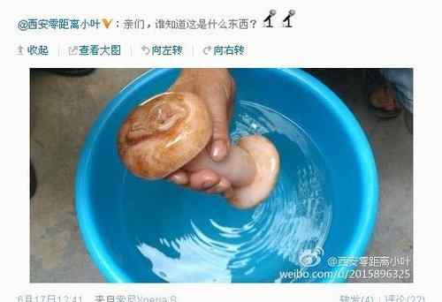 西安女记者 西安女记者误将成人用品认作“太岁灵芝”