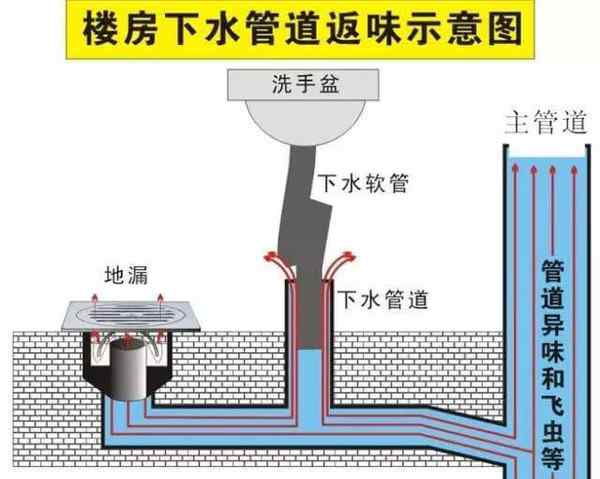 下水道反味儿的解决办法 厨房下水道反味原来还可以这样处理！