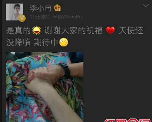 徐佳宁个人资料 李小冉和谁结婚了 李小冉老公徐佳宁个人资料背景照片曝光