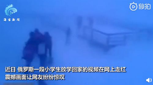 俄小学生零下50度顶暴风雪放学回家 拍摄者称这很平常 目前是什么情况？