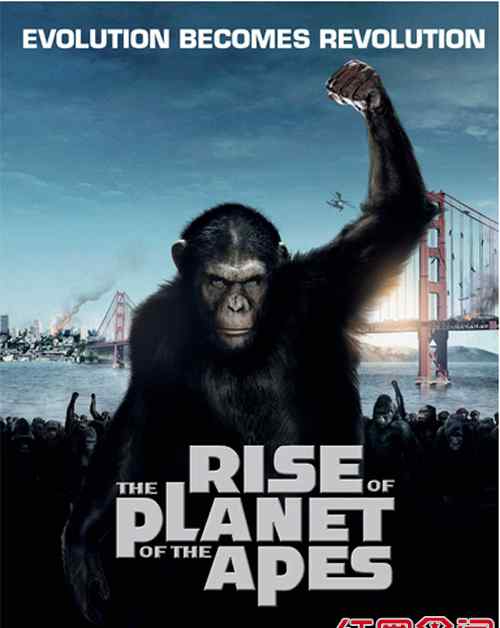 猩球崛起4上映时间 《猩球崛起2》上映时间剧情介绍海报曝光