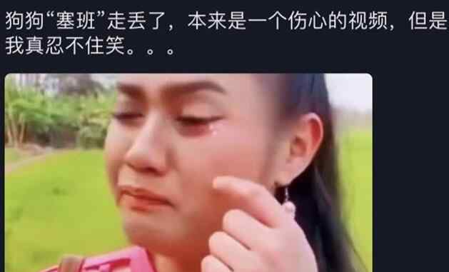 塞班是什么梗 找塞班是什么梗 塞班到底是谁最后找到了吗