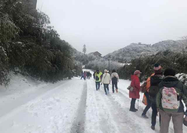 金佛山还有雪吗 金佛山今天又下雪了，周末去看雪女性还免门票