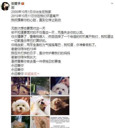 张馨予发文悼念 张馨予发文悼念去世爱犬 18年的陪伴狗狗从幼小到年老