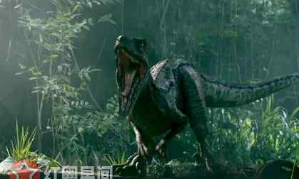 侏罗纪公园4剧情 侏罗纪世界2布鲁会死吗 布鲁或成为电影主角引领剧情走向