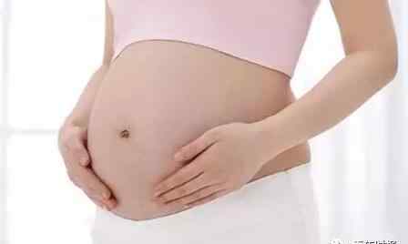 试一试伦理片手机版 杭州51岁女子取卵19次仍不放弃 怀孕希望低于1%