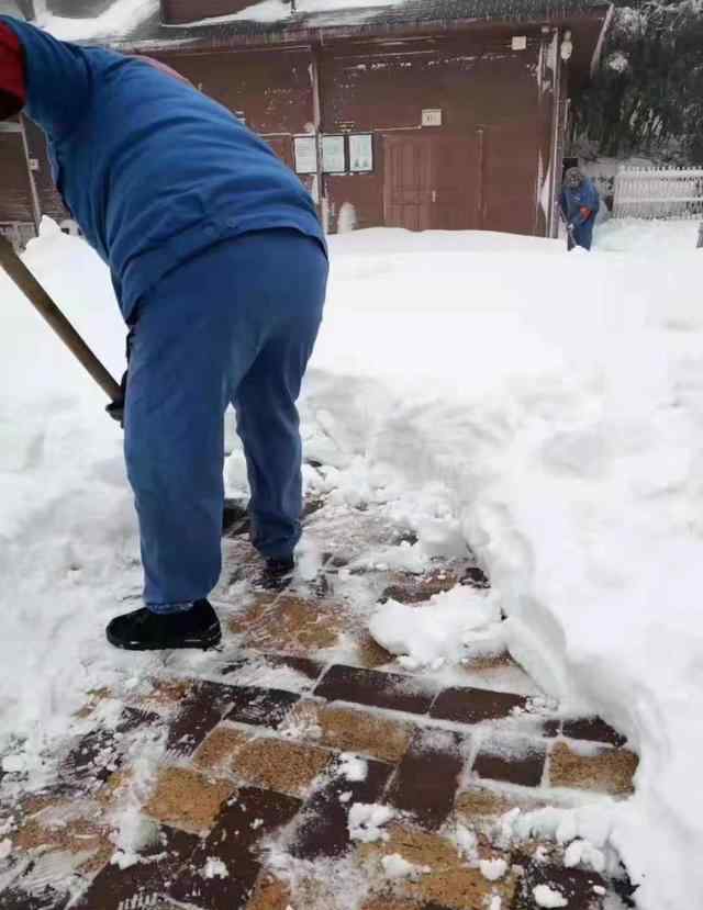 金佛山还有雪吗 金佛山今天又下雪了，周末去看雪女性还免门票