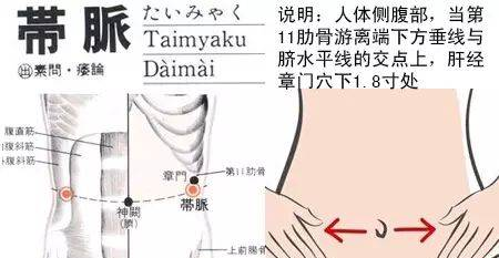 带脉刮痧，清肠减腹！