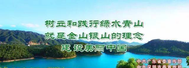 必知！燃气灶熄火保护装置有多重要？