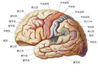 脑梗塞后遗症的危害有哪些？