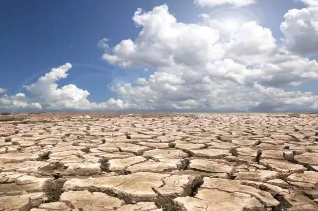 世界防治荒漠化和干旱日：干旱比我们想象的还要可怕