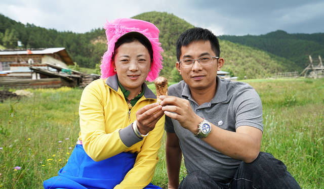 新鲜松茸的N种吃法，教你十三种方法荡漾舌尖上的美味