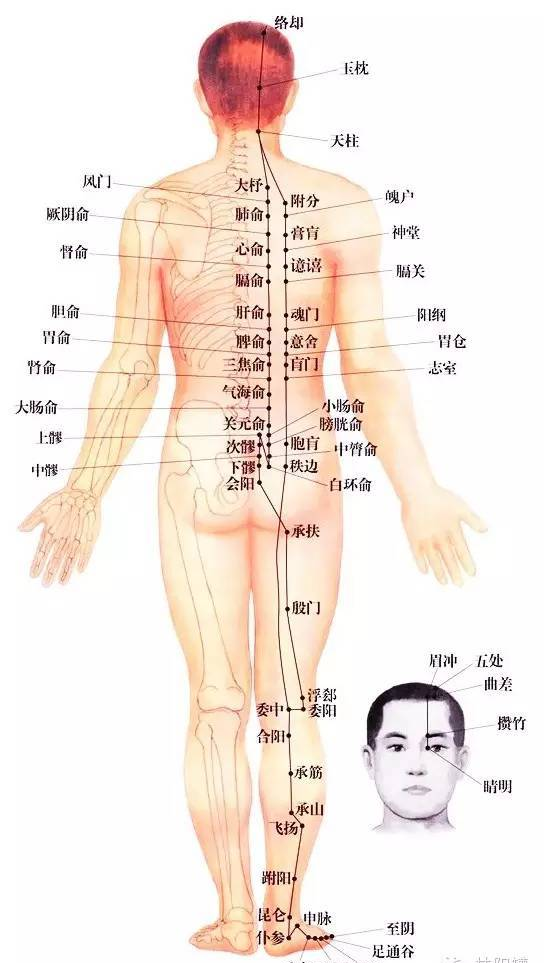 为什么经络不通，要先调膀胱经？