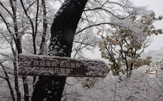 大家好，给大家介绍一下，这是我们昌平小汤山温泉