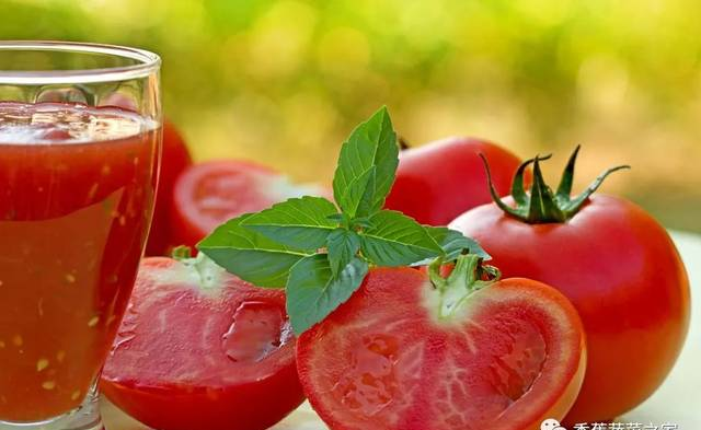 吃番茄的好处 番茄竟有8大惊人功效