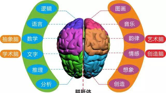 右脑图像记忆法，五分钟让你做到过目不忘！