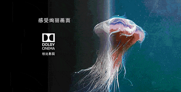 电视、电影里常见的杜比Dolby Vision和Dolby Audio究竟是什么