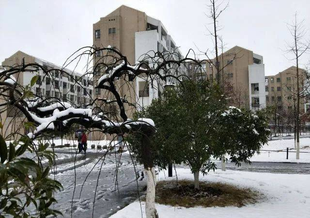 今我来思，雨雪霏霏