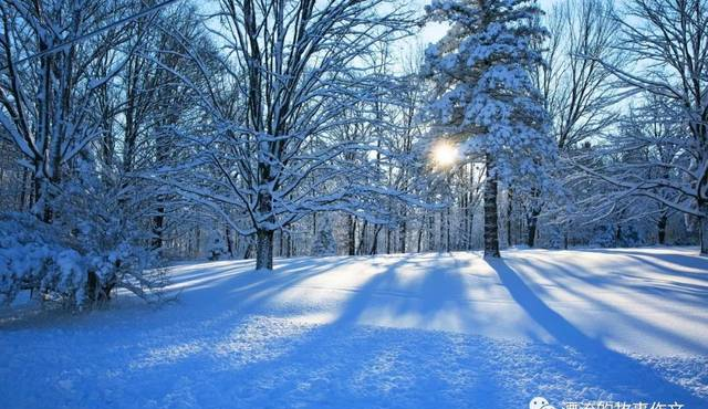 【阅读欣赏】艾青：下雪的早晨