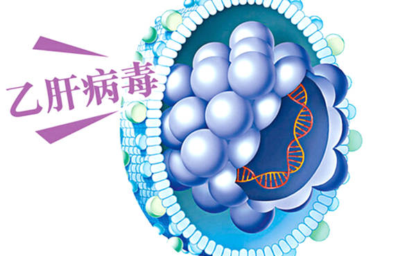 肝硬化到底会不会传染呢？