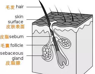 宝宝满月“剃胎毛”？剃过的宝妈全都后悔了！