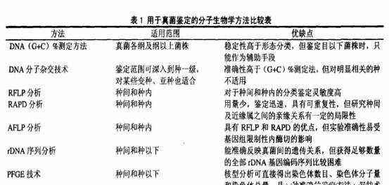 初识霉菌、图片制作