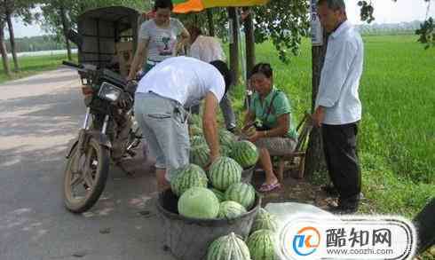 夏天做什么生意赚钱 夏天做什么生意好