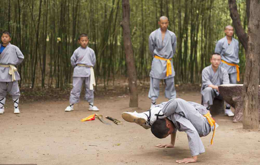 河南登封有多少个武校 登封武校13岁学生被同学打伤致死 武术学校里到底在做些什么？